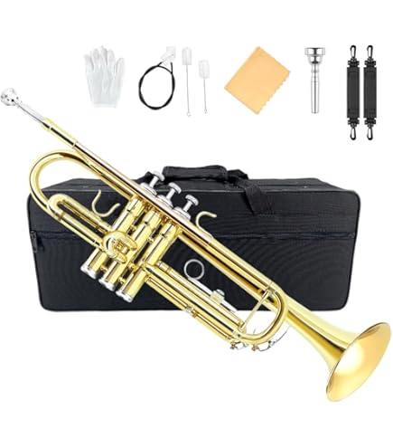 Amazon.co.jp: Sai Musical India シルバーニッケルピッコロ